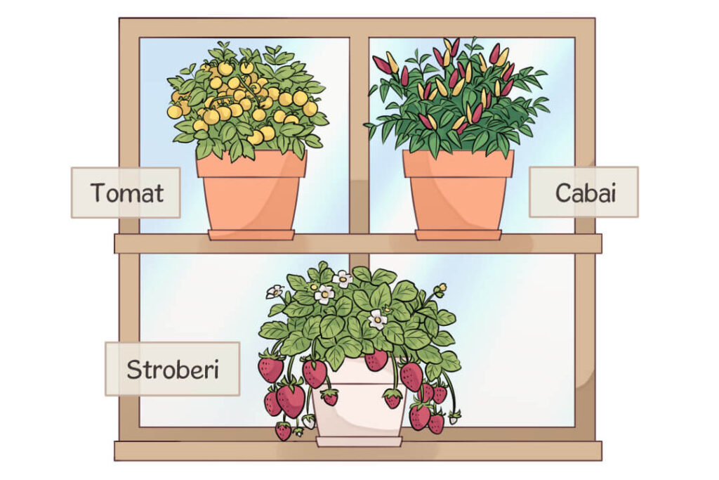 buah-buahan yang bisa ditanam di apartemen