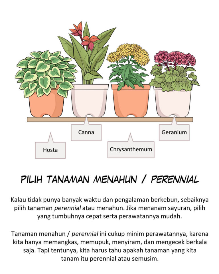 tips berkebun mudah untuk pemula: pilih tanaman menahun / perennial