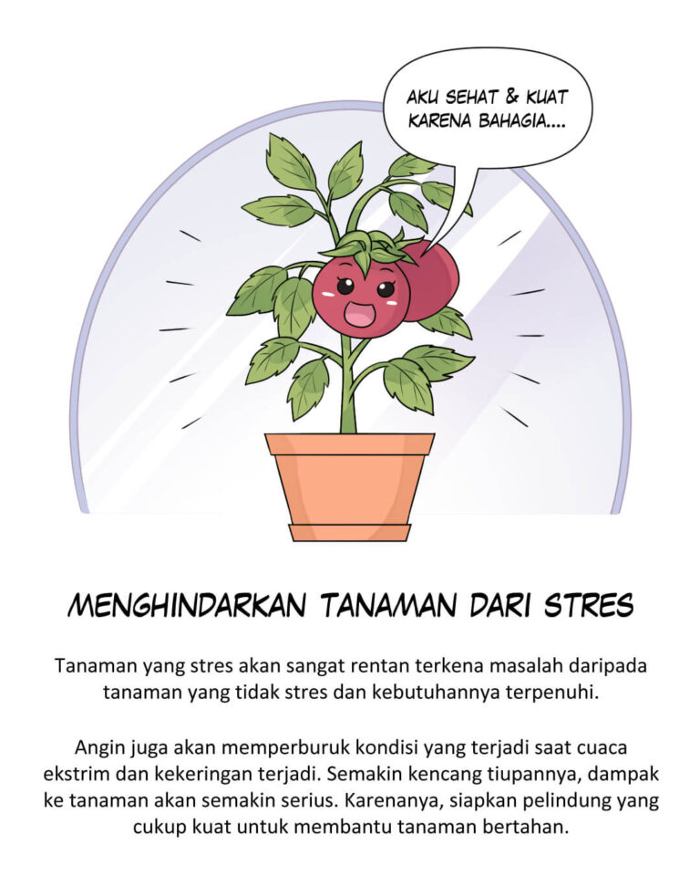 cara mencegah masalah pada tanaman: menghindarkan tanaman dari stres